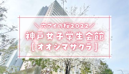【六甲アイランドの桜2022】神戸女子学生会館｜オオシマザクラ（大島桜）