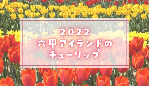 【六甲アイランドのチューリップ2022】開花状況をレポ！｜芝生広場向かい